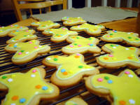 Butterfly Cookies