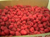 Raspberries